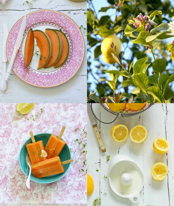 Polos de Melón (cantaloupe melon ice pops) y el libro Paletas