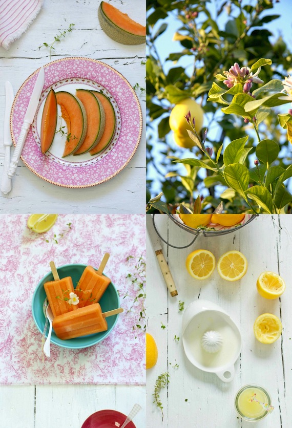 Polos de Melón (cantaloupe melon ice pops) y el libro Paletas